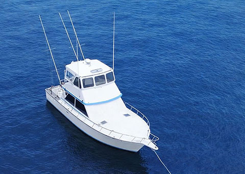 Burial at sea cost and pricing in North Carolina - Ash To Sea (Wild Rover III)